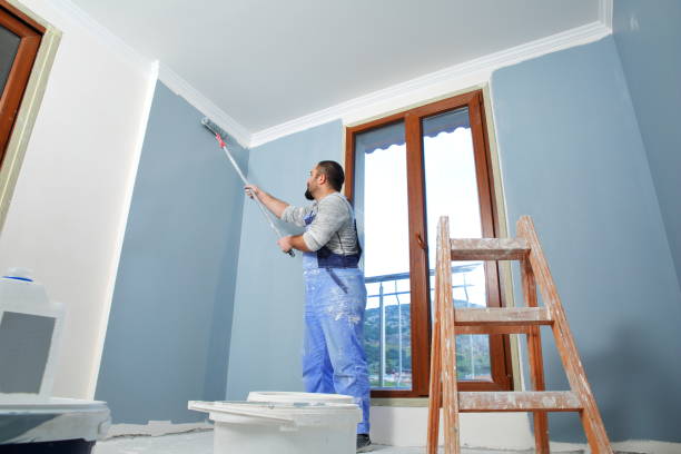 Best Environmental Consulting for Mold Prevention  in Homer, GA