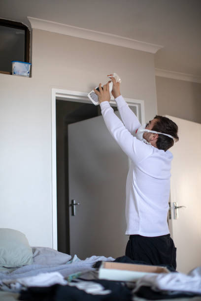 Best Mold Prevention Services  in Homer, GA