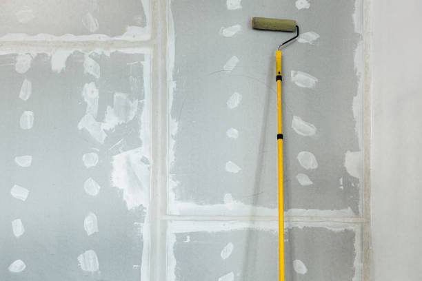 Best Industrial Mold Remediation  in Homer, GA