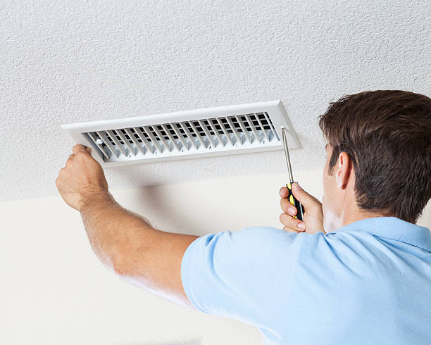 Best Crawl Space Mold Remediation  in Homer, GA