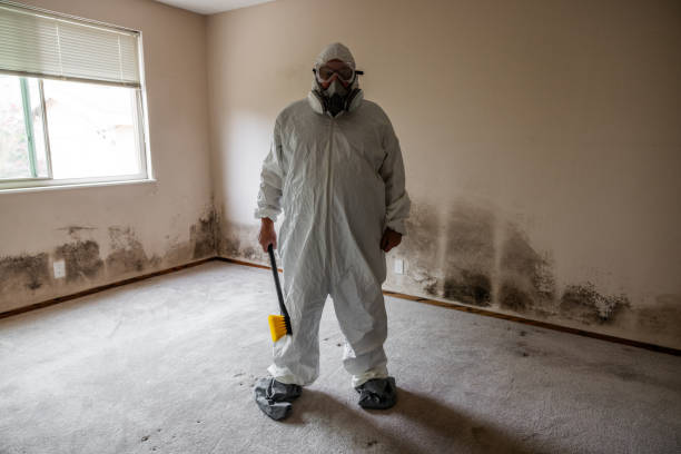 Best Emergency Mold Remediation  in Homer, GA