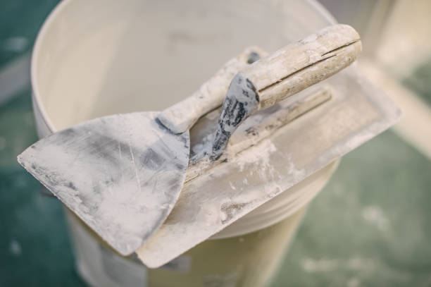 Best Real Estate Mold Inspection  in Homer, GA